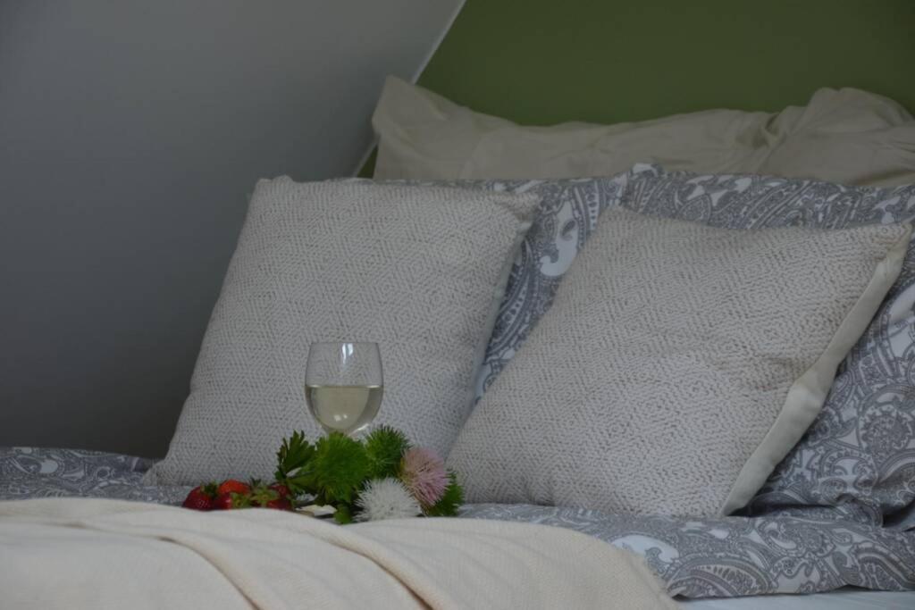 Ines Apartament Two Levels 105M2 In The Old Town Wi-Fi, Olsztyn  Exteriör bild