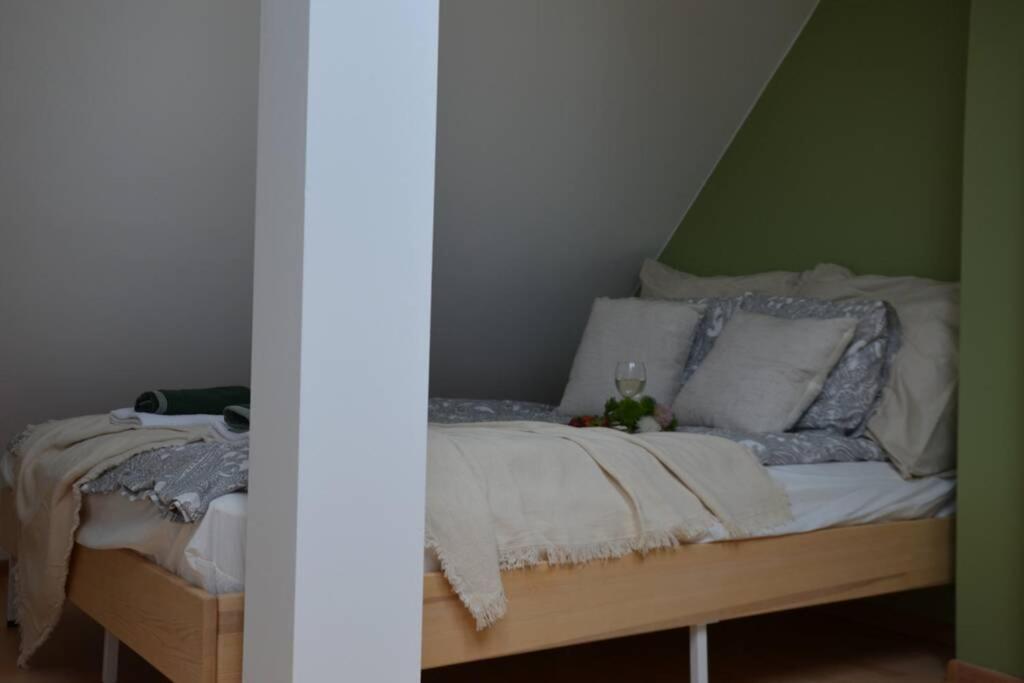 Ines Apartament Two Levels 105M2 In The Old Town Wi-Fi, Olsztyn  Exteriör bild